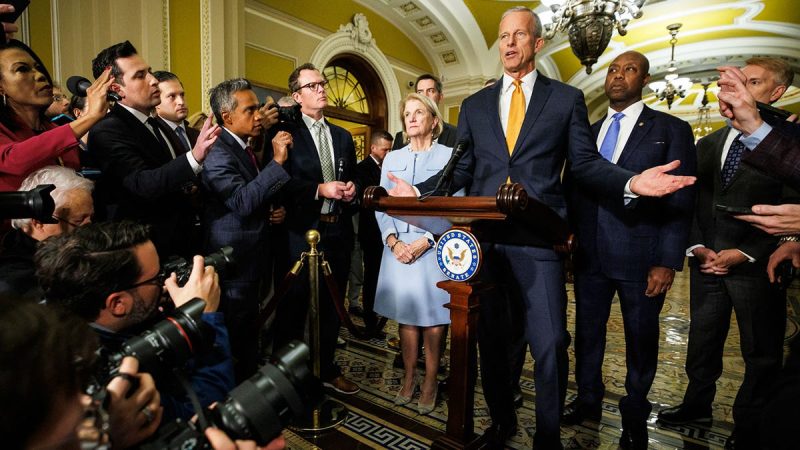 Thune, GOP reject pushing ‘rifle-shot’ government funding bills during shutdown Thune, GOP reject pushing ‘rifle-shot’ government funding bills during shutdown